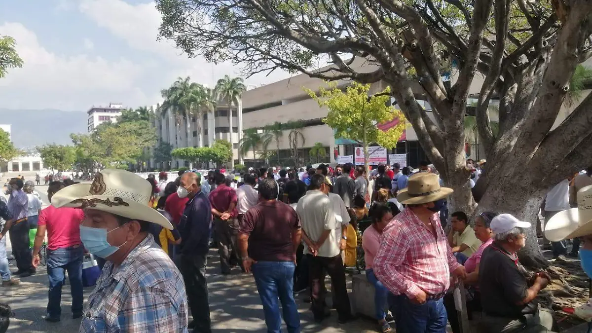manifestación