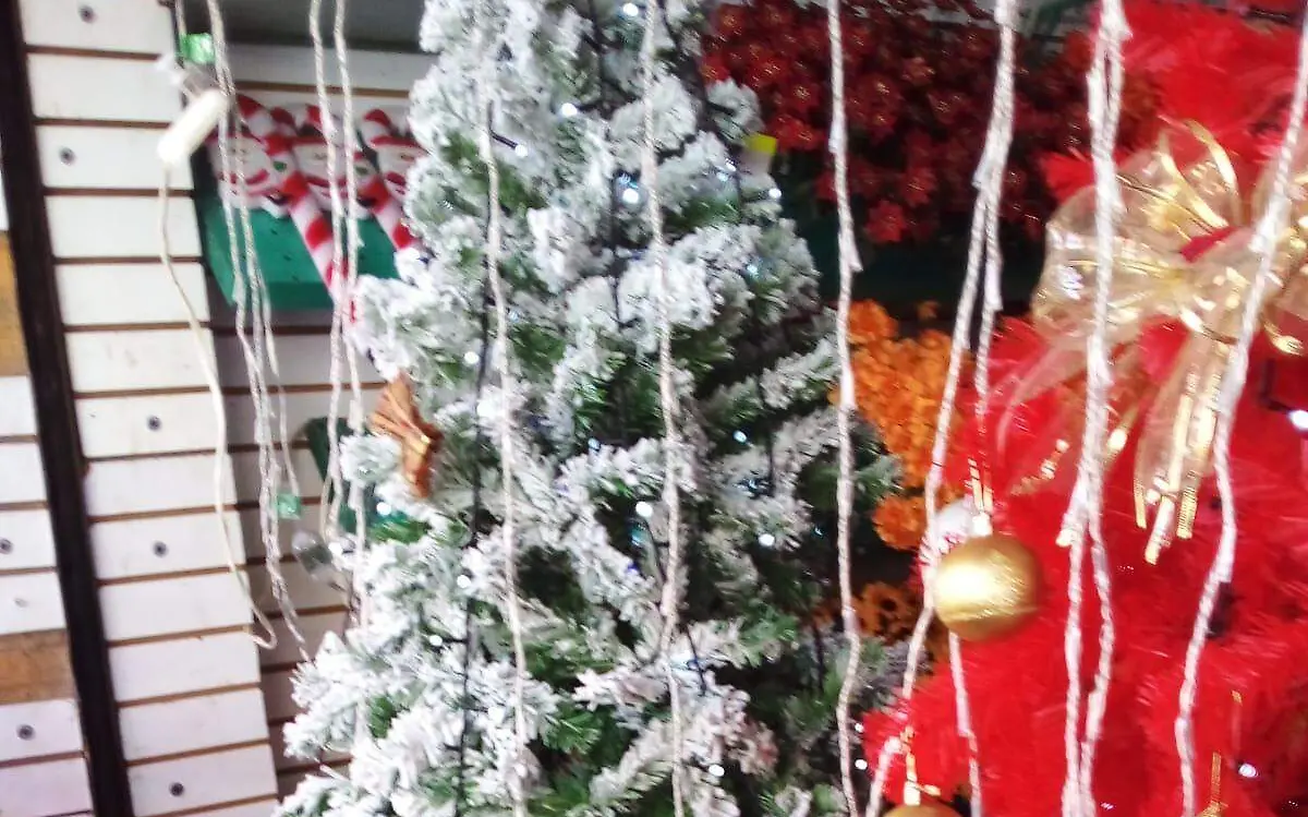 WhatsApp Image 2021-12-15 at 11.16.09 AM (1)