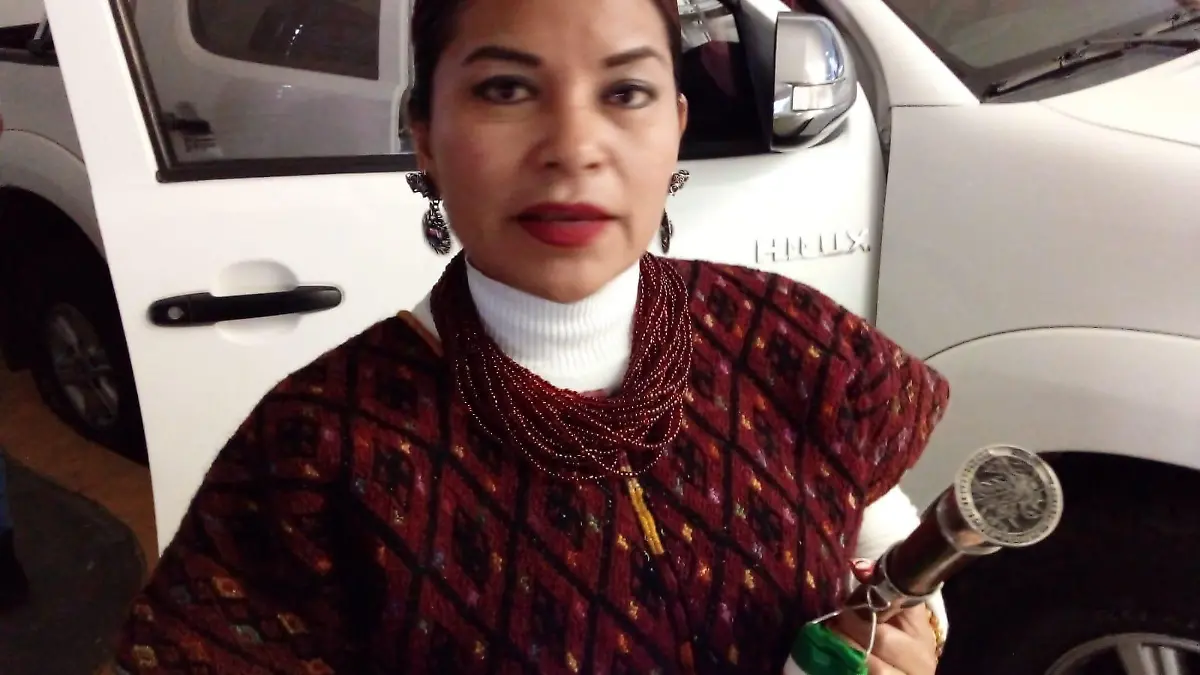 Diputada
