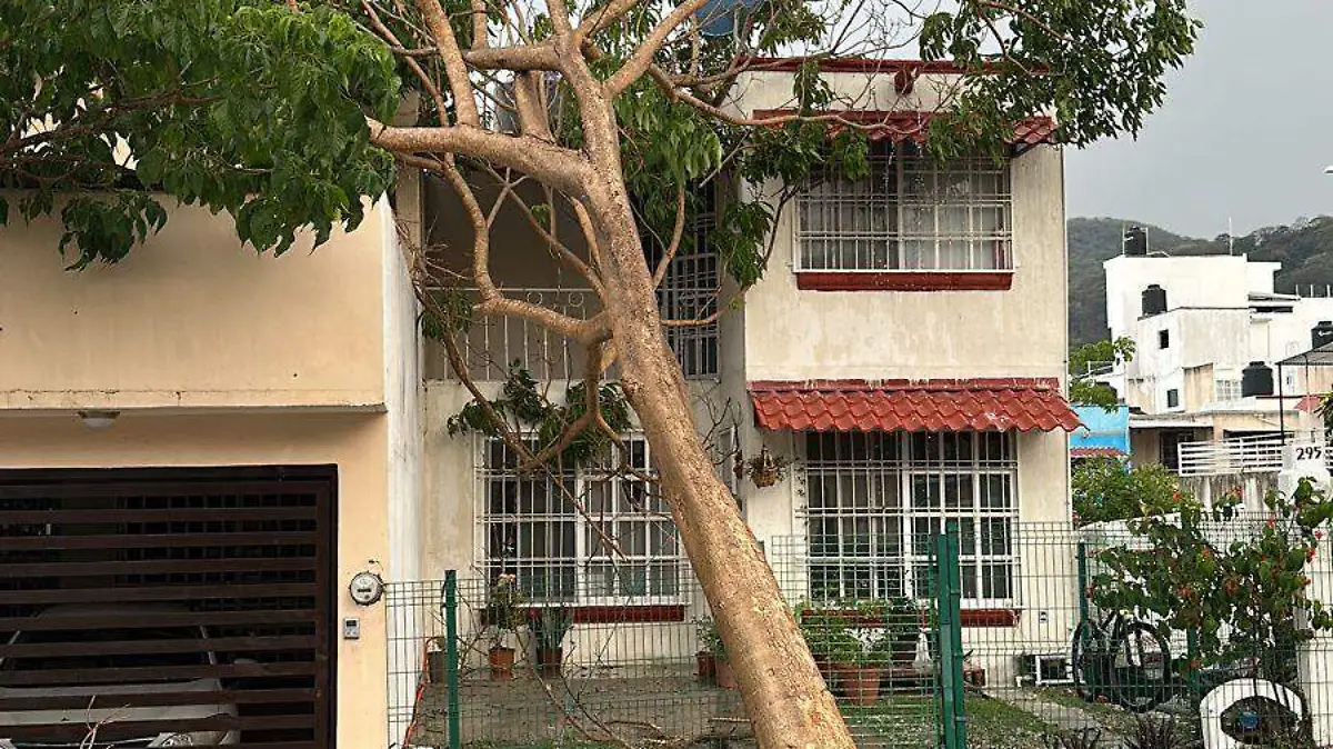 Afectaciones lluvia8