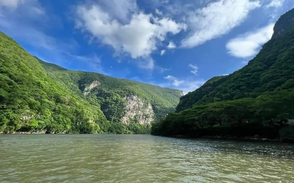 WhatsApp Image 2022-07-02 at 9.07.36 AM