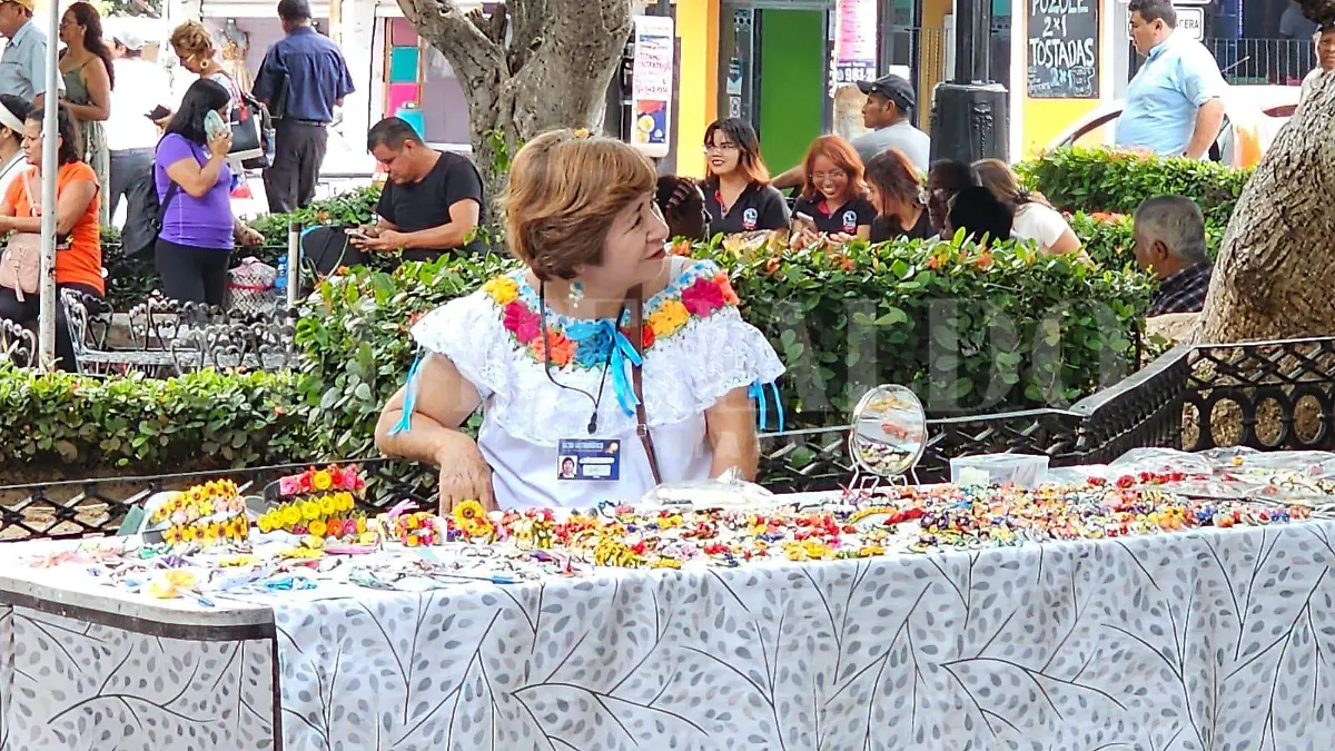 Bazar en Parque San Marcos (1)