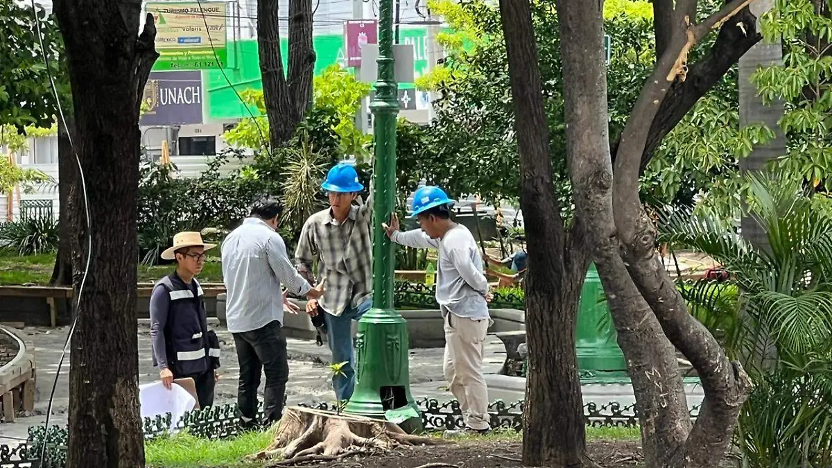 parque de la marimba3