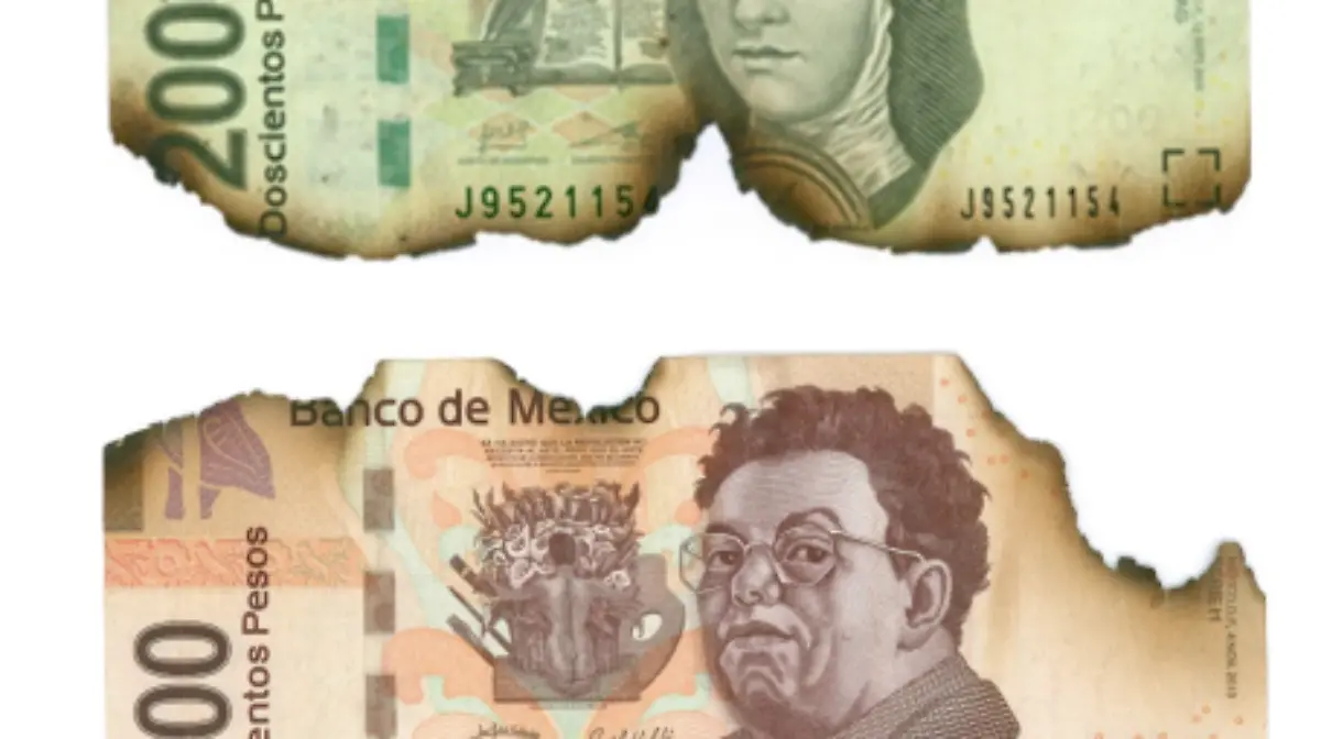 Captura de pantalla 2023-05-05 a la(s) 13.51.36