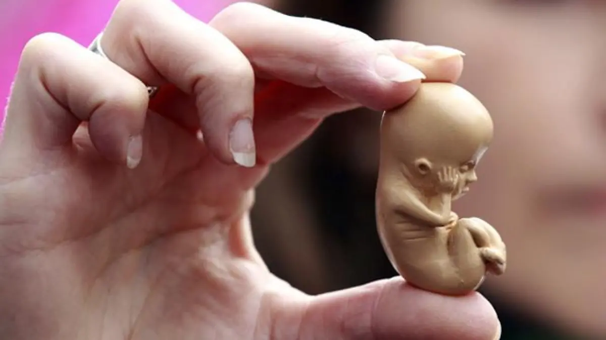 A pro-life campaigner holds up a model of a 12-week-old embryo during a  protest outside the Marie Stopes clinic in Belfast