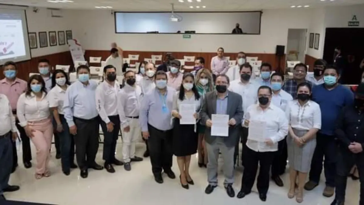 partidos políticos, candidatos