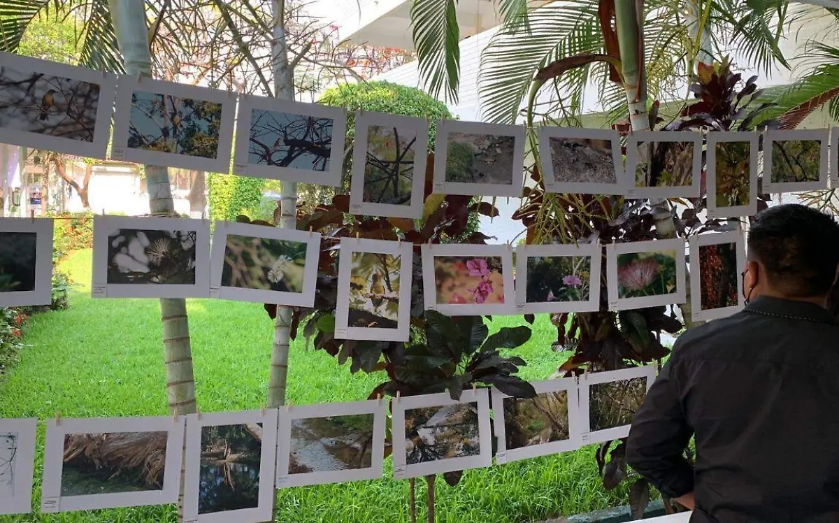 WhatsApp Image 2022-06-16 at 3.33.02 PM (1)