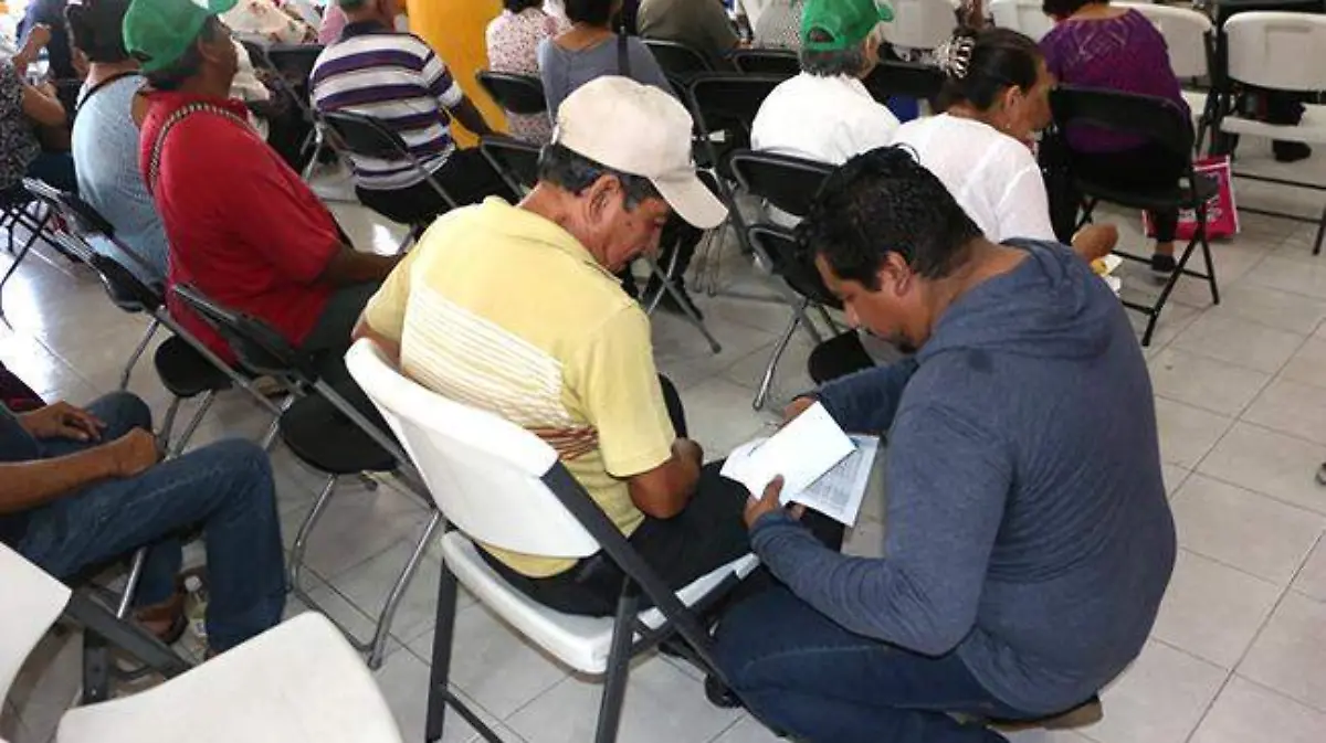 Image 2019-07-14 at 13.47.05