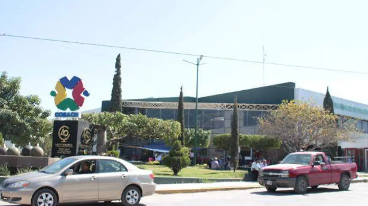 nota 9