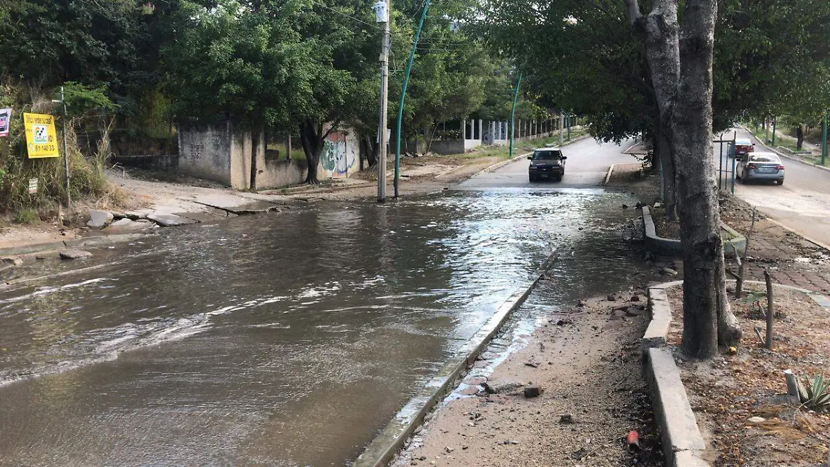 Image 2018-12-02 at 14.30.32