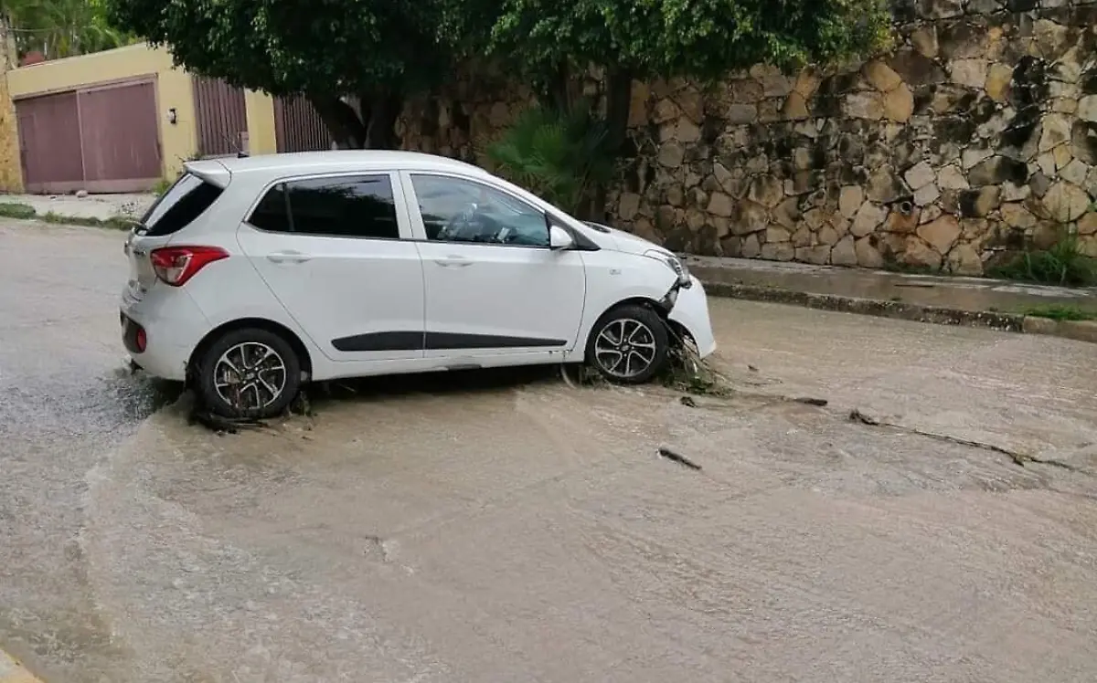 WhatsApp Image 2022-09-17 at 10.55.20