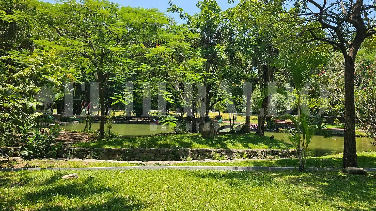 Cobertura vegetal en Chiapas