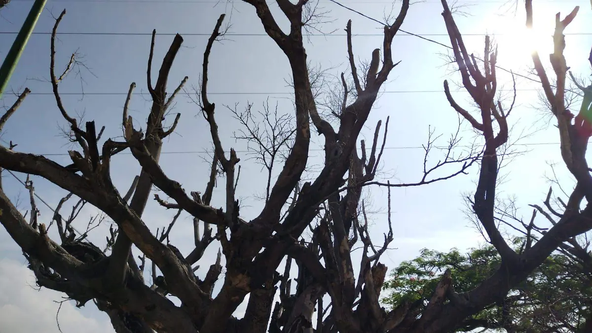 Canícula en Chiapas