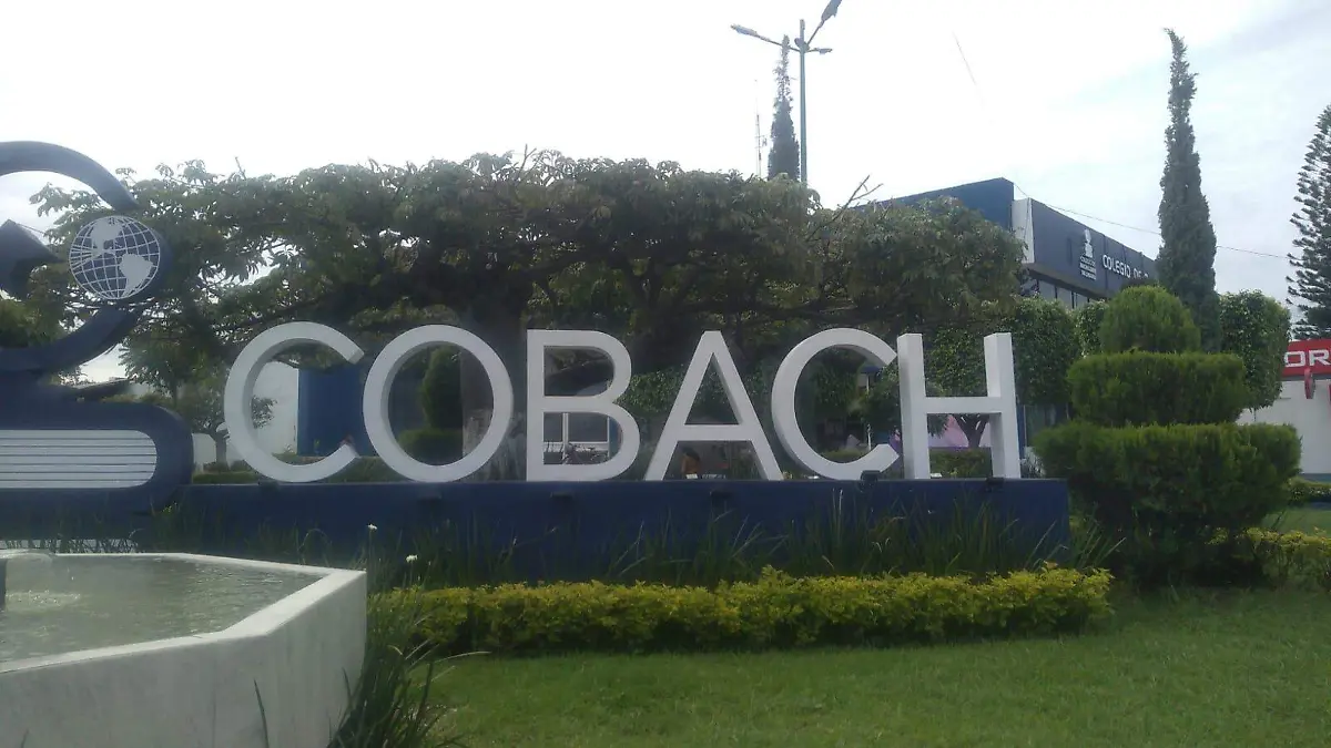 cobach 2