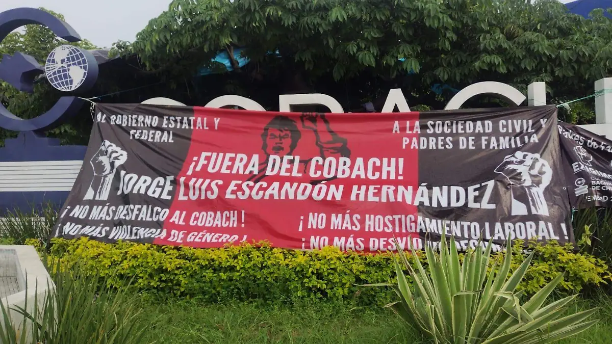 cobach8