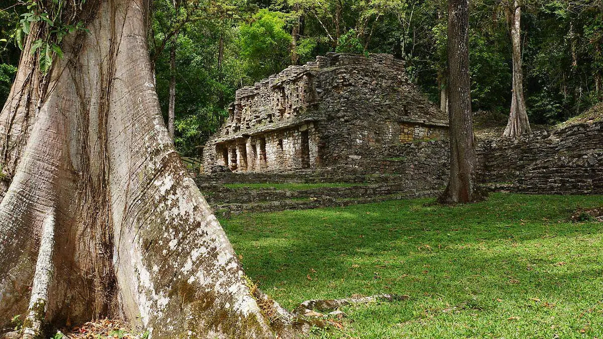 Yaxchilán