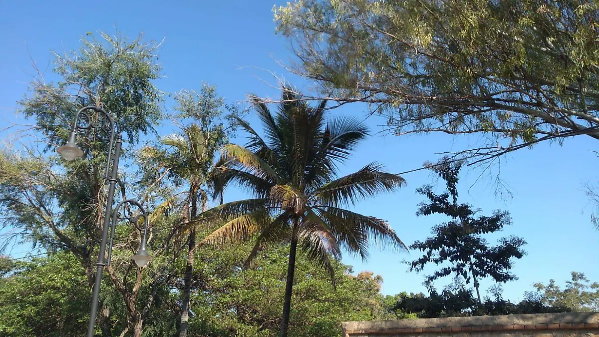 protección civil alerta