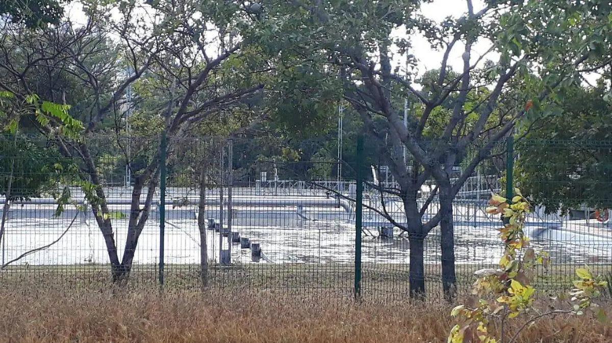 Image 2019-01-10 at 11.23.03