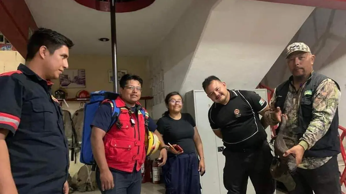 Lagarto venenoso en Tuxtla Gutiérrez