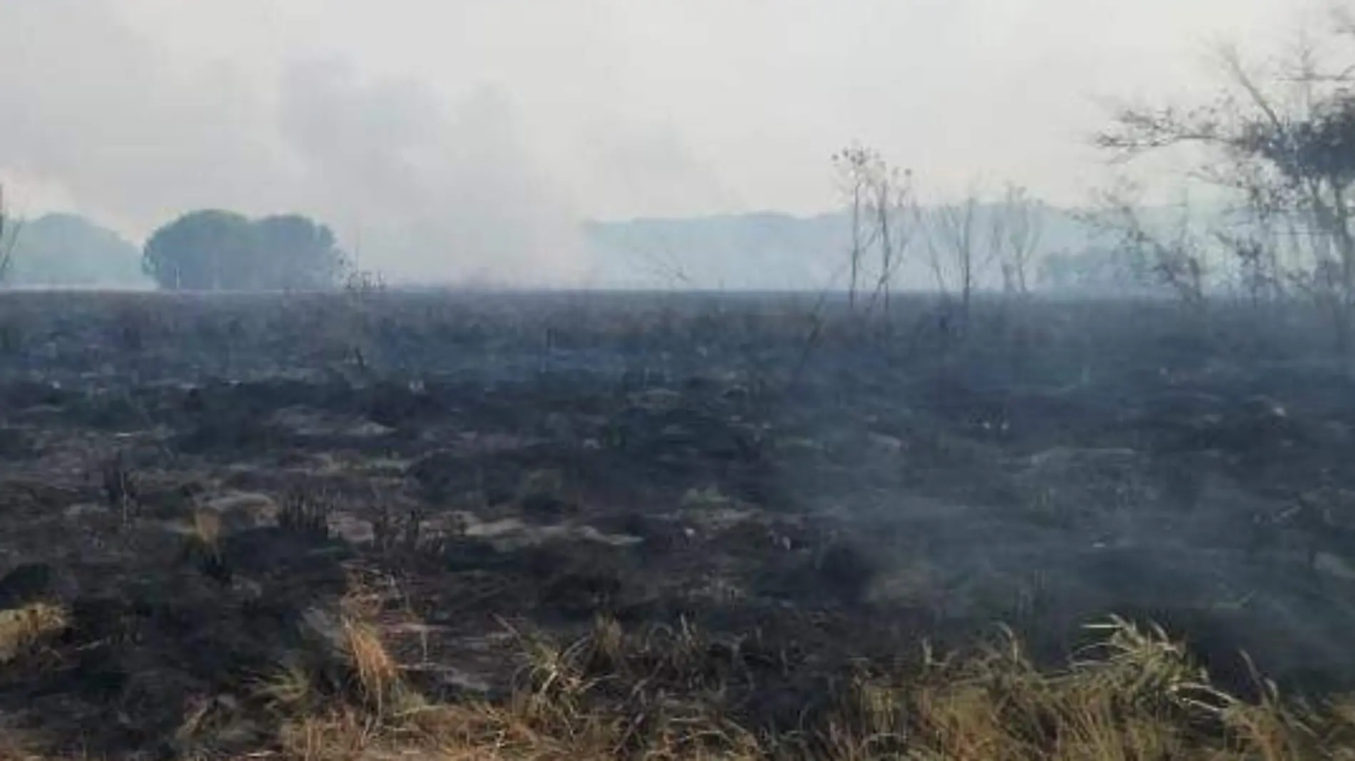 Incendios