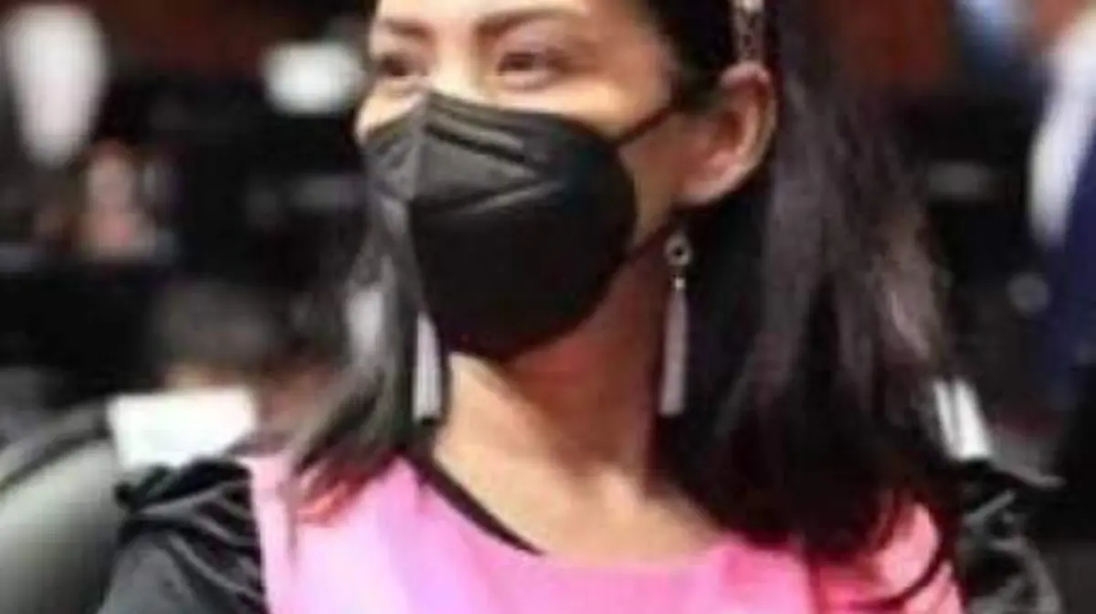 Diputada Olga