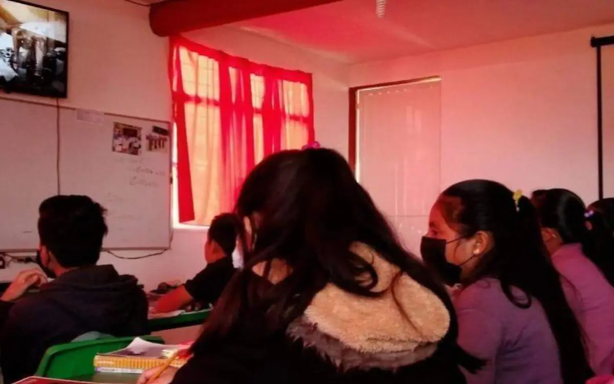 Niños y niñas