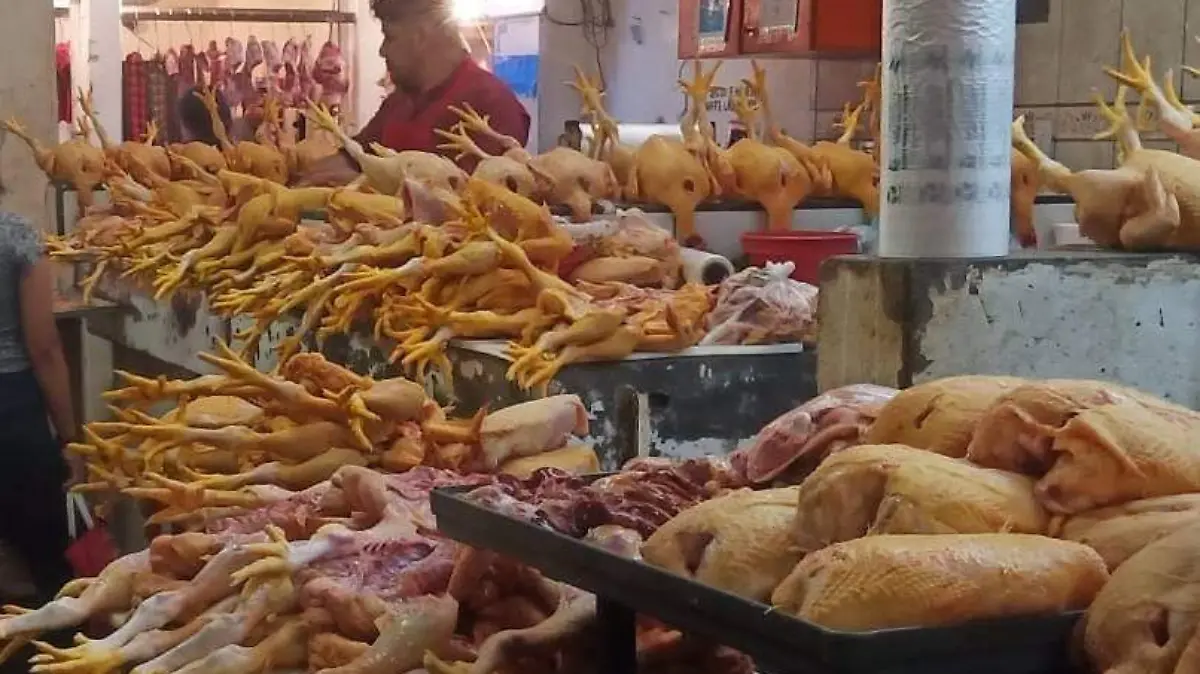 POLLOS (1)