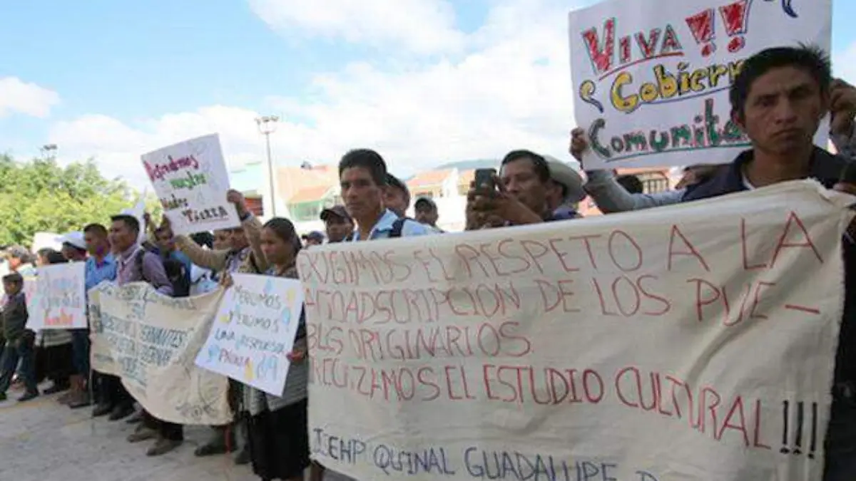 Image 2019-05-12 at 09.31.45