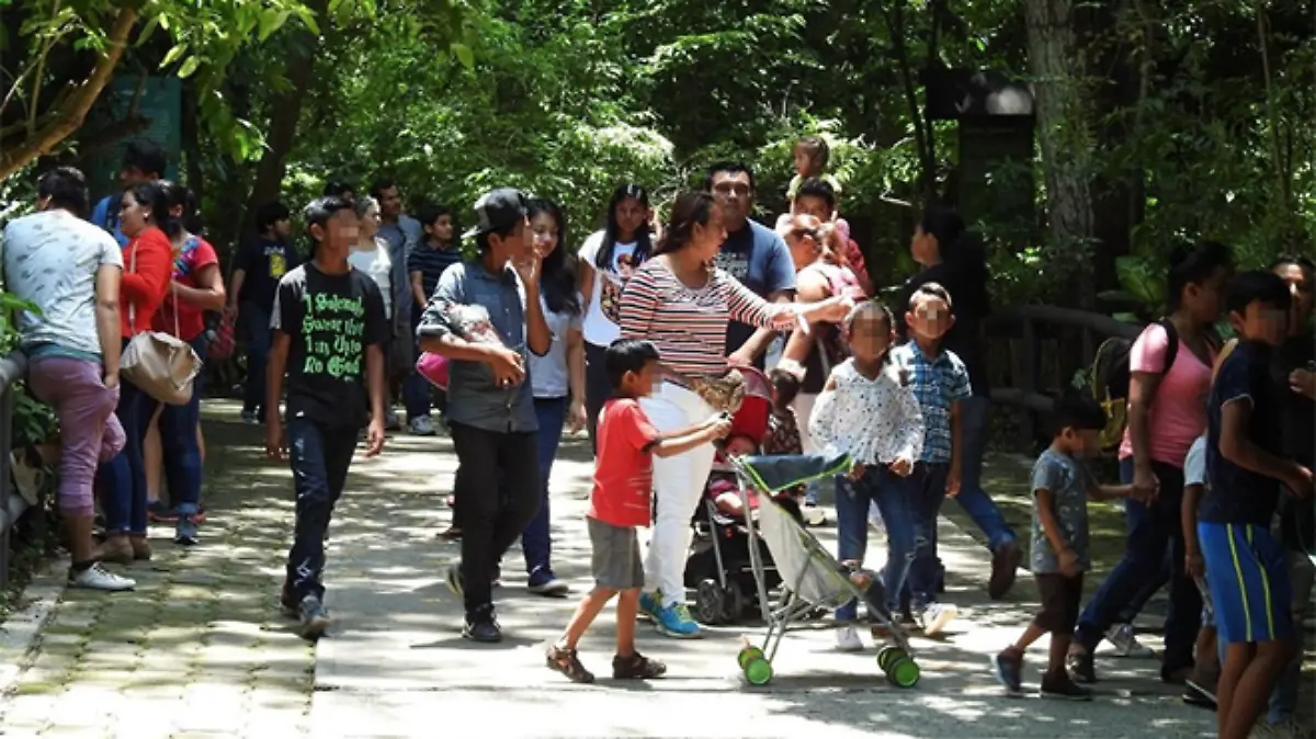 Captura de pantalla 2019-08-29 a la(s) 12.27.08