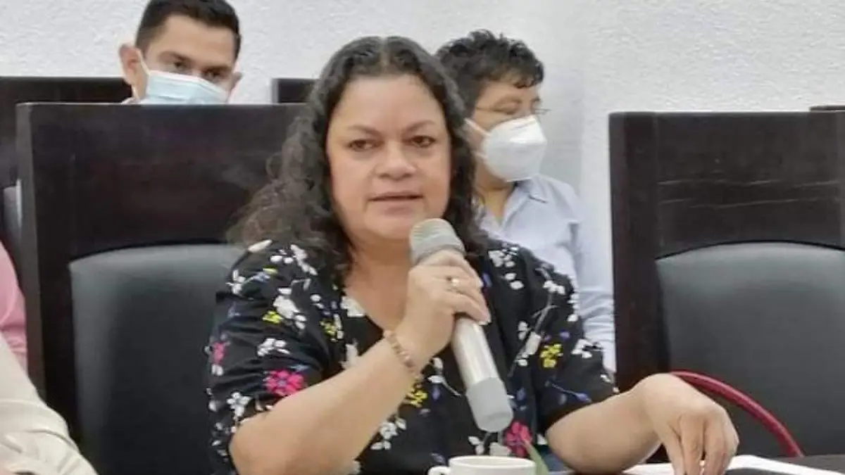 Diputada2