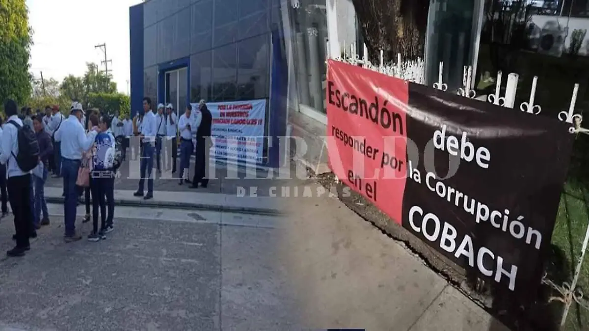 COBACHSIN RESPUESTAS
