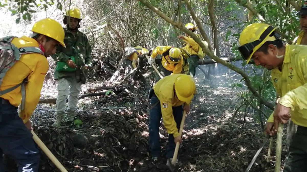 Captura de pantalla 2019-05-10 a la(s) 12.26.51