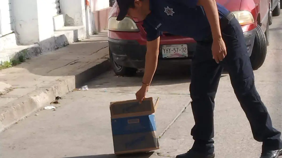 Operativos