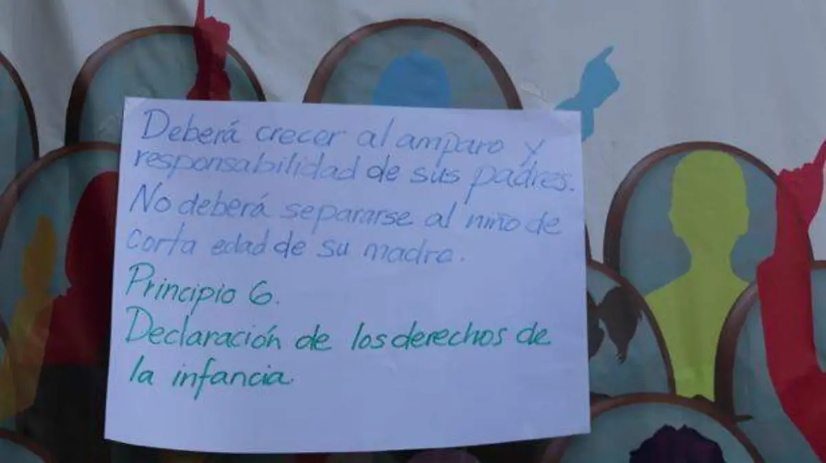 Nota 8 (2)