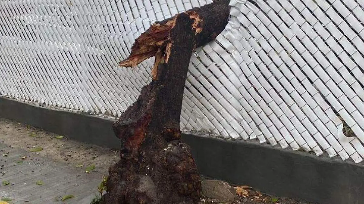 Afectaciones lluvia6