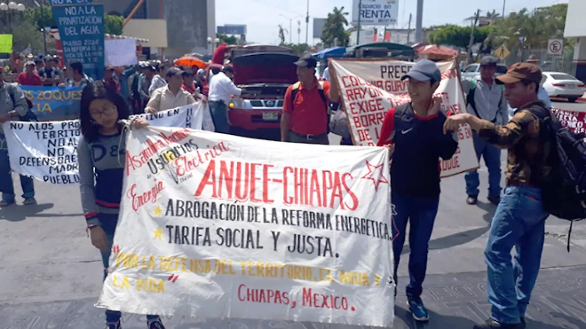 Image 2019-06-10 at 11.43.10