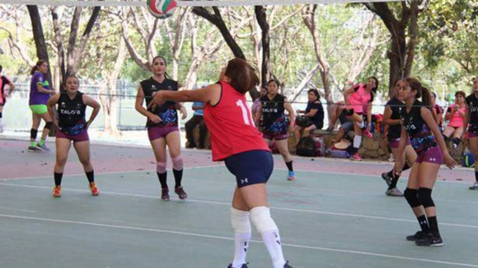 VOLEIBOL