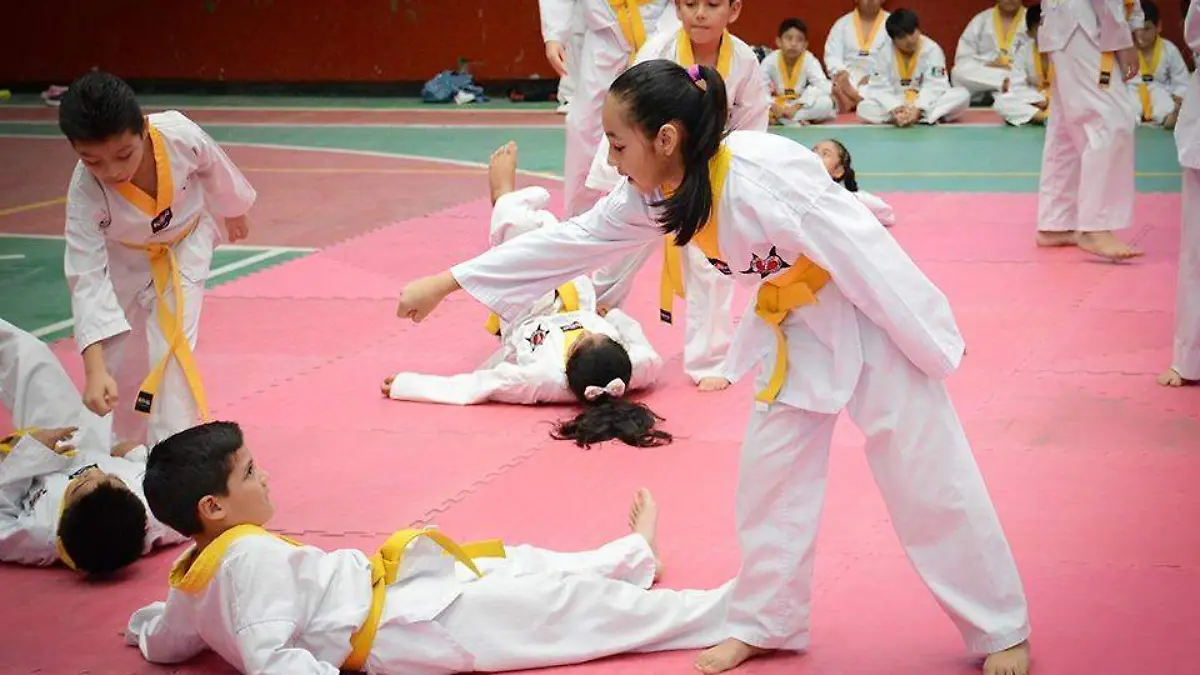 taekwondo