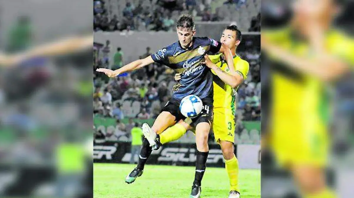 1-Cafetaleros 1_CMYK