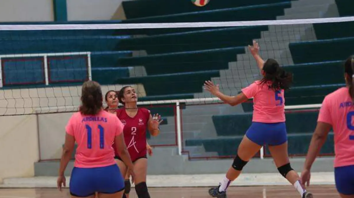 VOLEIBOL-HS (20)