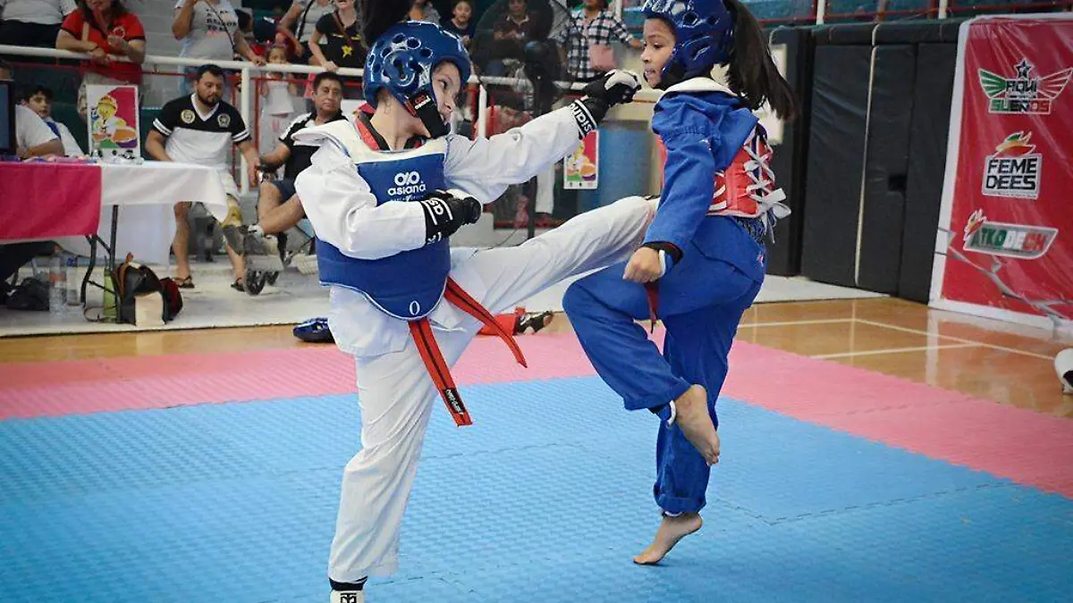 taekwondo