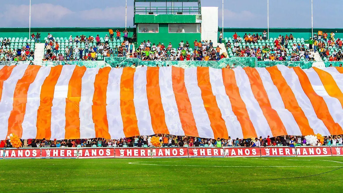 tribuna