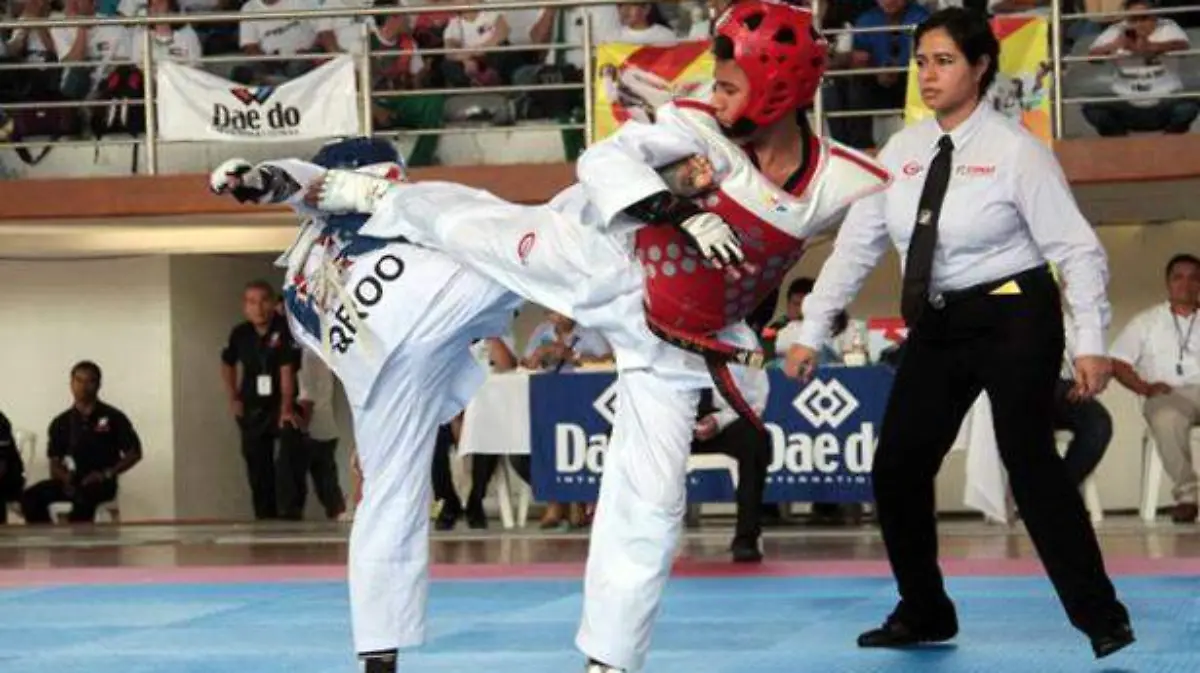 TAEKWONDO2