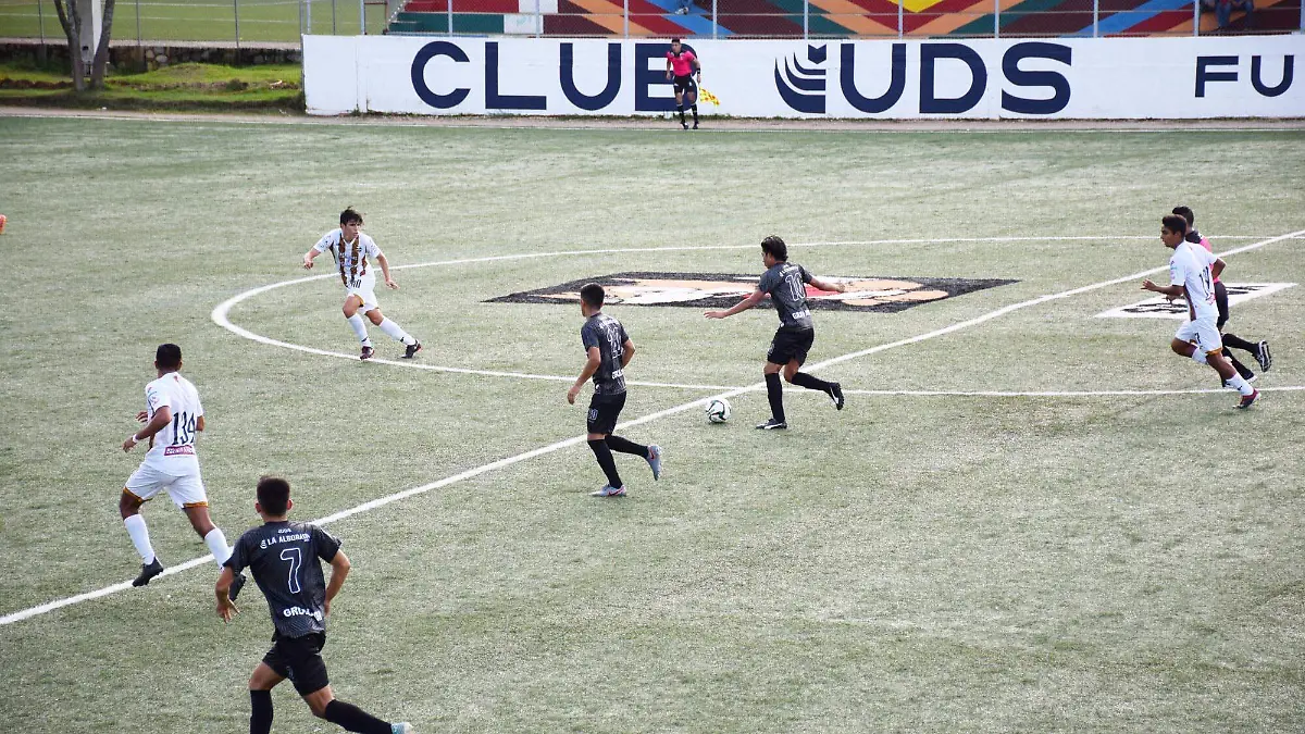 JAGUARES NEGROS (2)ok