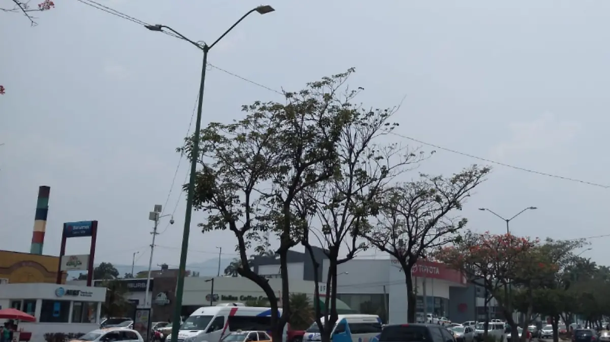 Captura de pantalla 2019-05-03 a la(s) 14.12.00