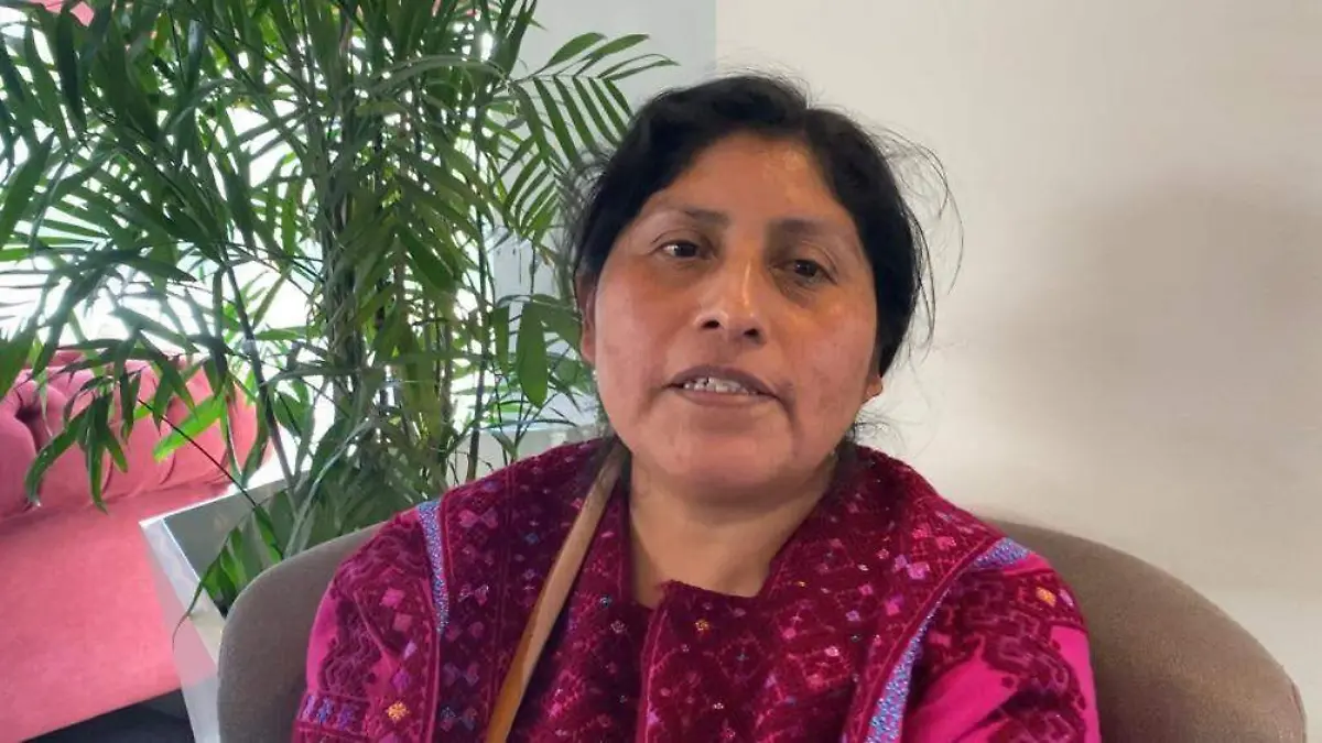 Angelina Díaz Méndez