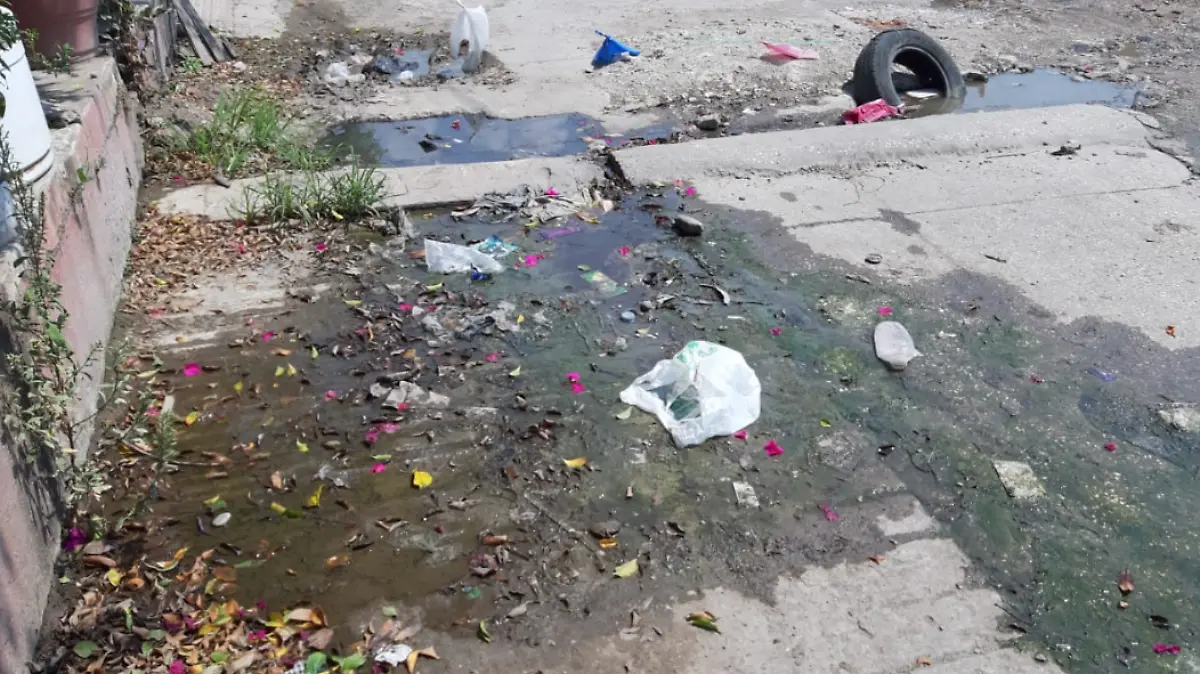 Captura de pantalla 2019-05-27 a la(s) 16.00.04