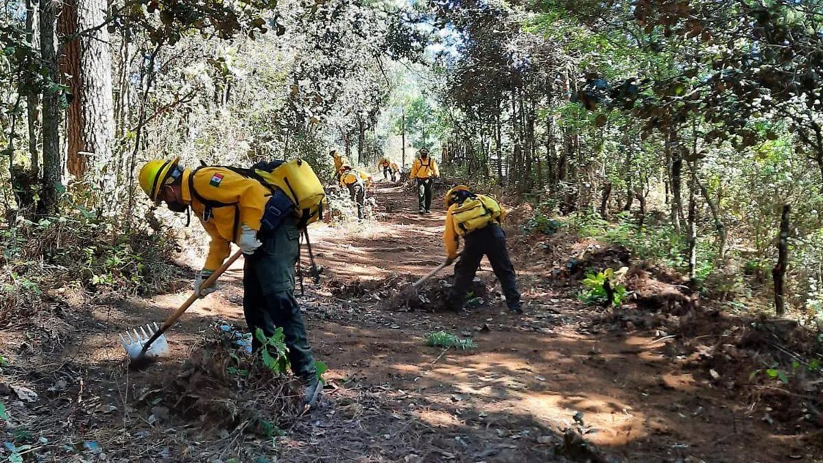 Incendios