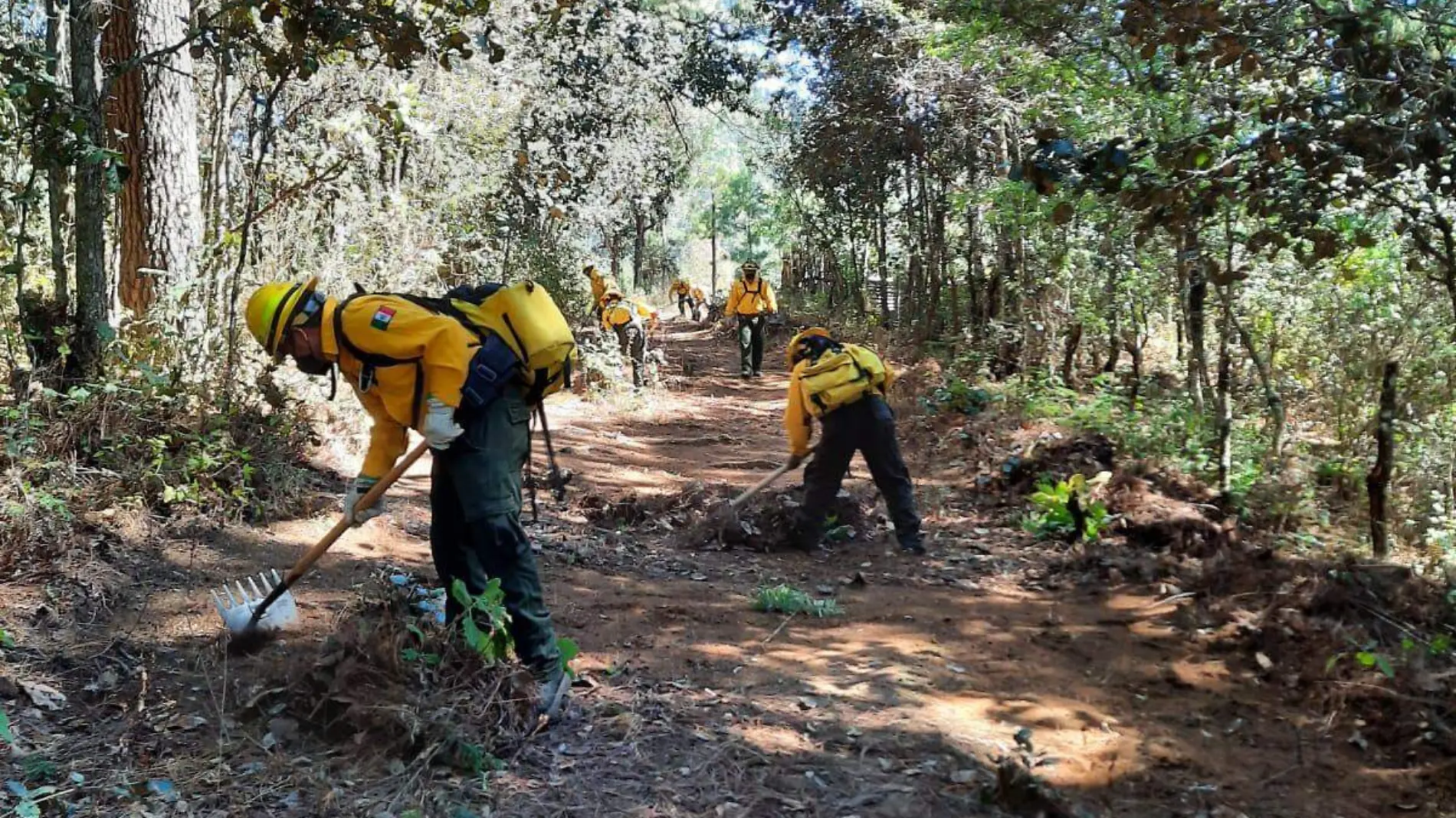 Incendios