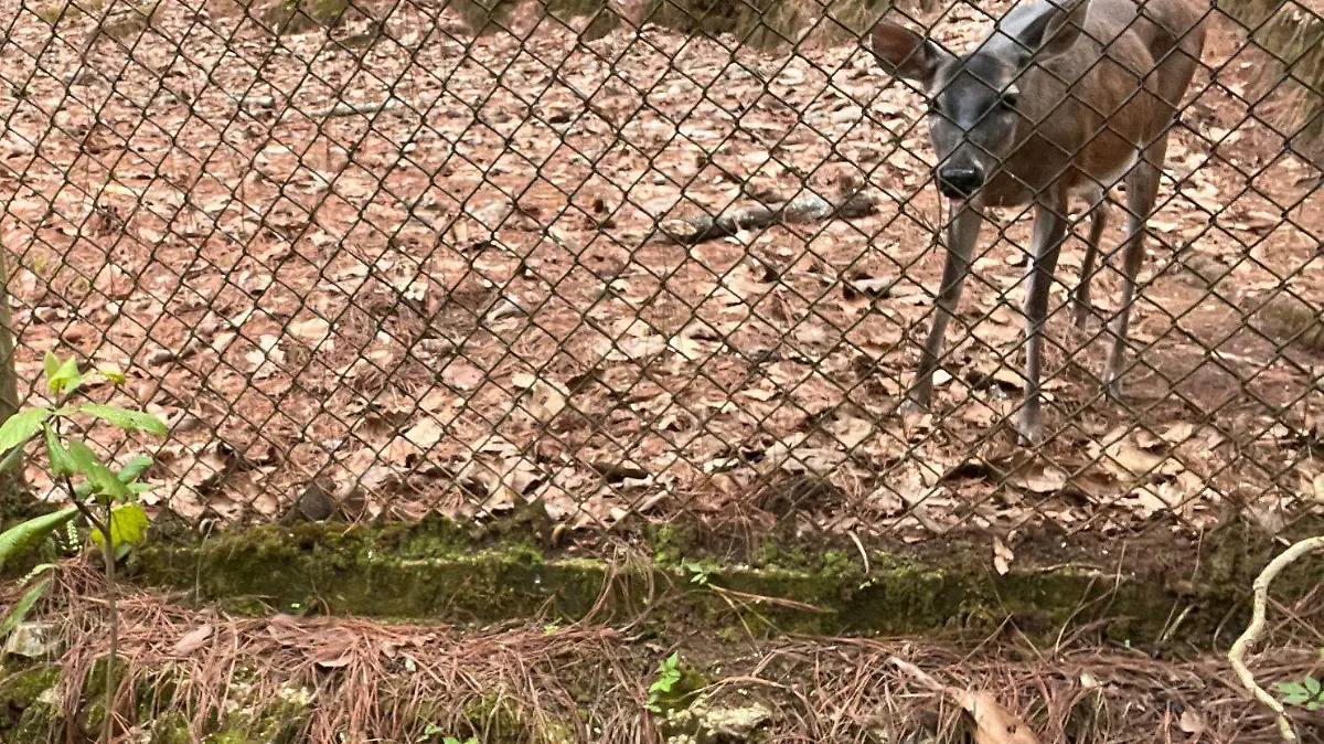 centros turísitcos SCLC4